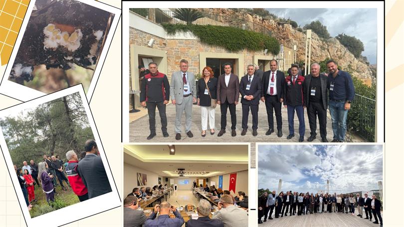 FAO Destekli Arıcılık Projesinde Önemli Aşama: Sonuç Raporları Datça’da Ele Alındı  