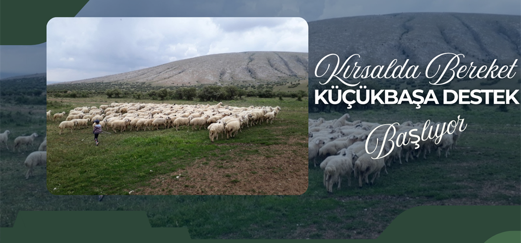 Kırsalda Bereket Küçükbaşa Destek Projesi Başlıyor