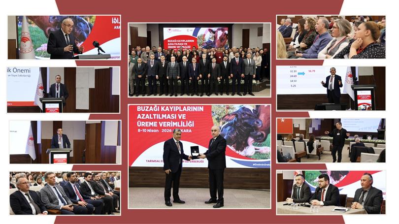 Buzağı Kayıplarının Azaltılması ve Üreme Verimliliğine Yönelik Eğitim Programı 81 İlde Tamamlandı