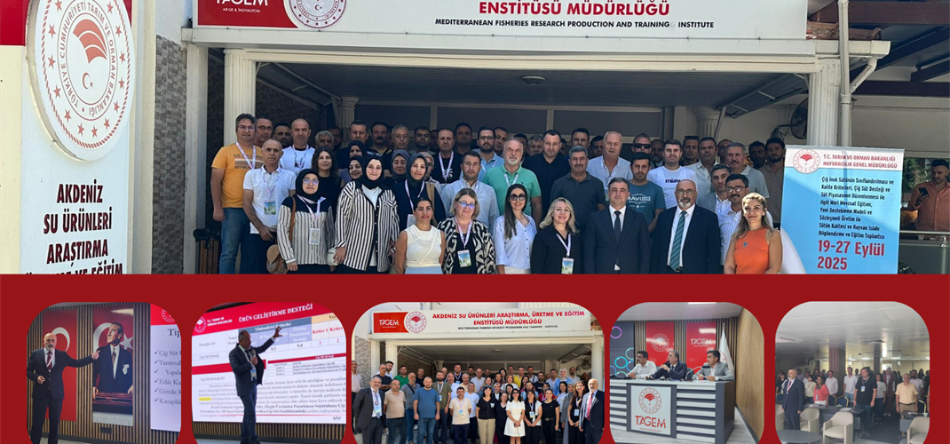 Hizmetiçi Eğitimler Aralıksız Sürdürülüyor