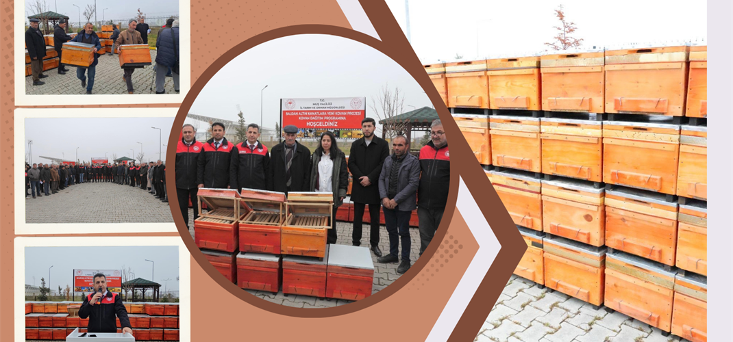 Muş’ta Yetiştiricilerimize “Baldan Altın Kanatlara Yeni Kovan Projesi” İle Arı Kovanları Dağıtıldı
