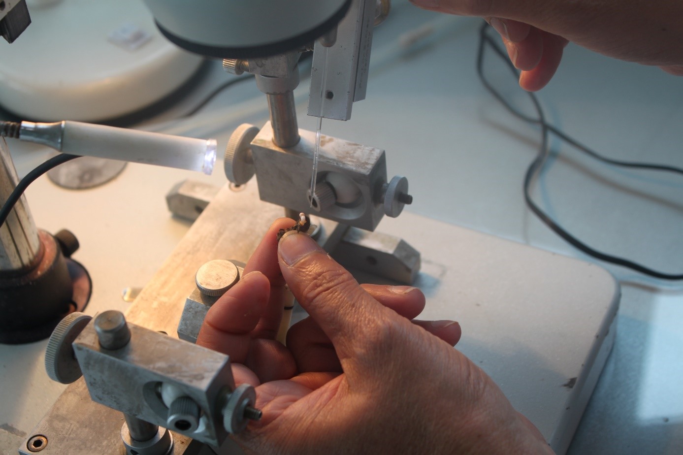 gen kaynağı ve muhafaza 2.jpg