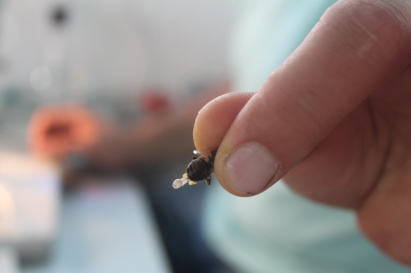 gen kaynağı ve muhafaza.jpg