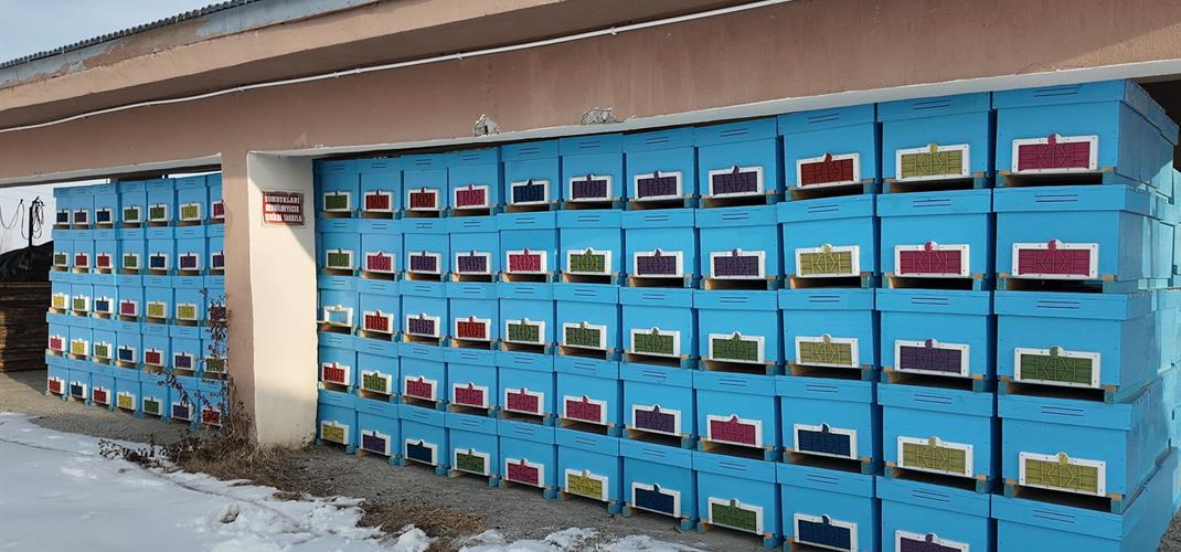 Bal Gibi Destek Projesi ve Kovan Temini