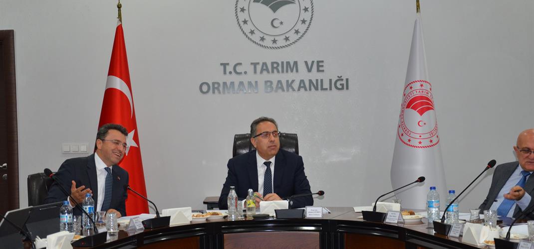 Veteriner Hekimliğinde Uzmanlık Kurulu Toplandı